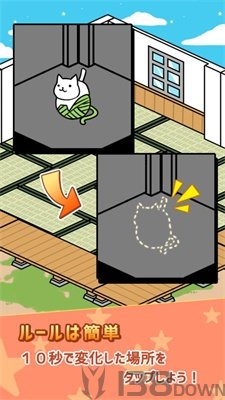10秒找猫猫