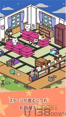 10秒找猫猫