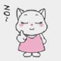 粉红猫来啦