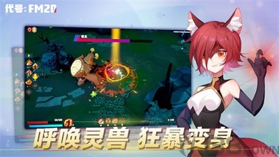 代号FM20
