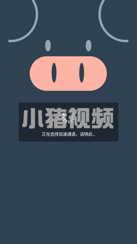 小猪视频截图