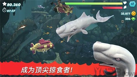 饥饿鲨进化2021