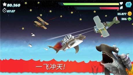 饥饿鲨进化2021