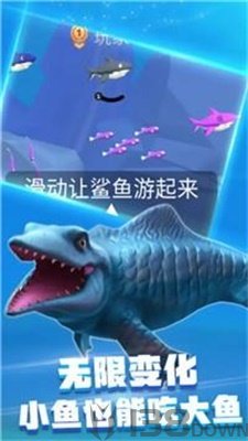 饥饿鲨乱斗
