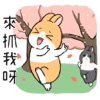 旅行双兔