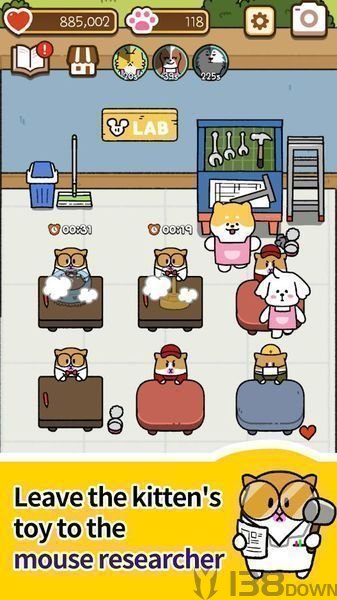 Cat Kindergarten