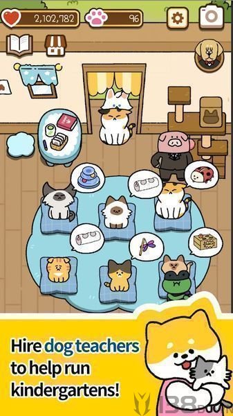 Cat Kindergarten