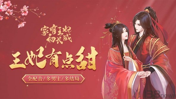 家有王妃初长成