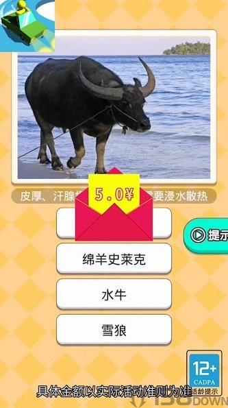 恐龙小车场