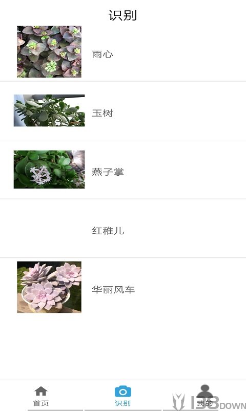 丛林宝典