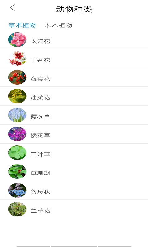 丛林宝典截图
