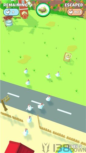 别让鸡跑了