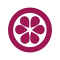 山竹小说