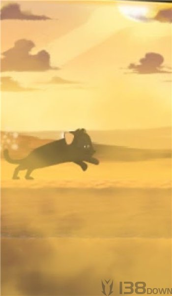 小猫大冒险