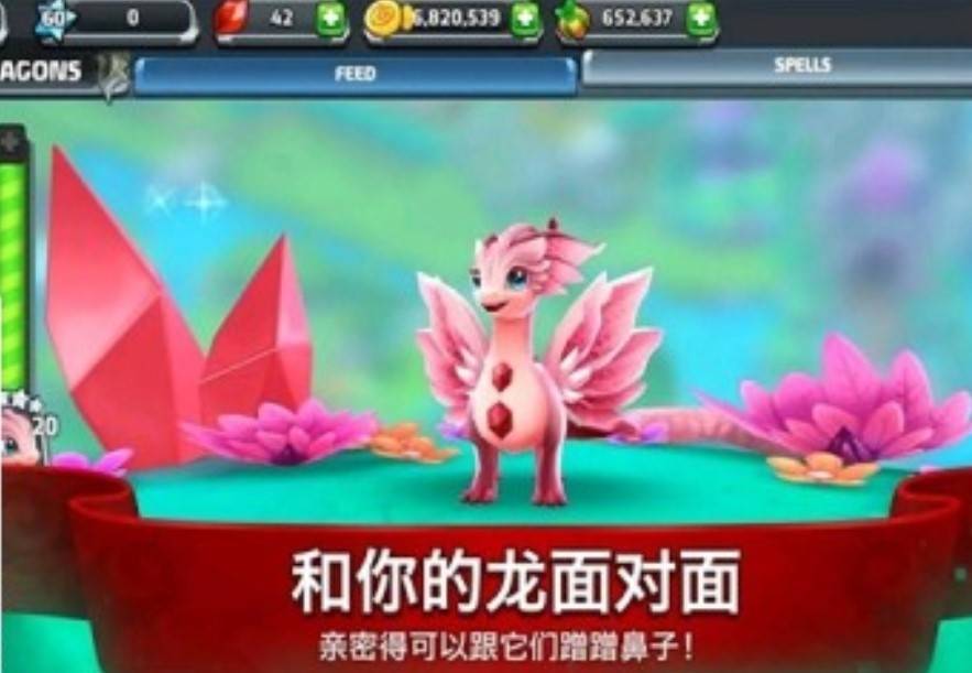 龙之驯兽师