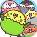 捕鸟记