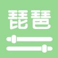 智能琵琶调音器