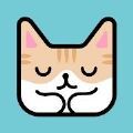 猫猫睡觉