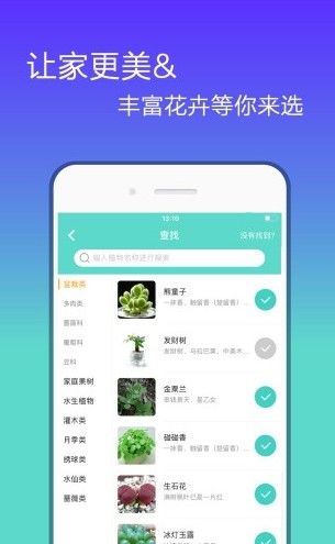 花信交友2023