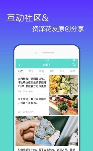 花信交友2023