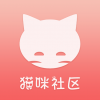 猫咪社区2023