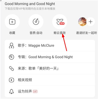 网易云音乐截图