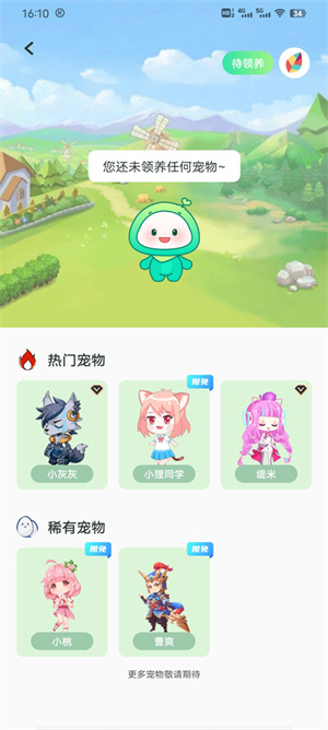 飞火动态壁纸app截图