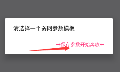 金砖弱网2025怎么使用