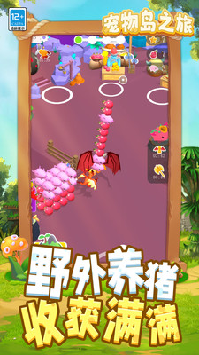 宠物岛之旅