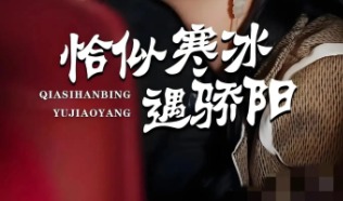 红果短剧怎么看 手把手教你找正版入口