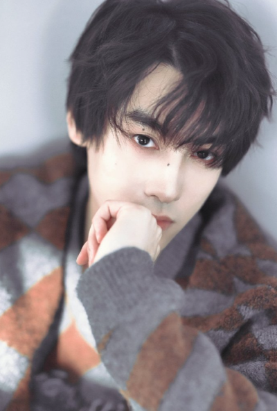 田栩宁百度送花榜投票入口