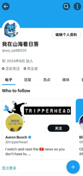 中国允许看推特吗	