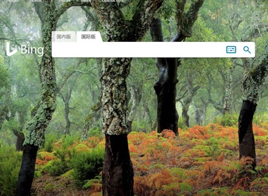 bing国内版入口2026 bing国内版入口网址
