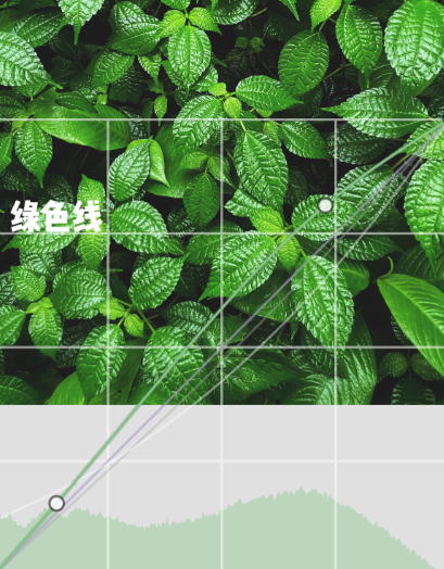 snapseed最新版本是多少