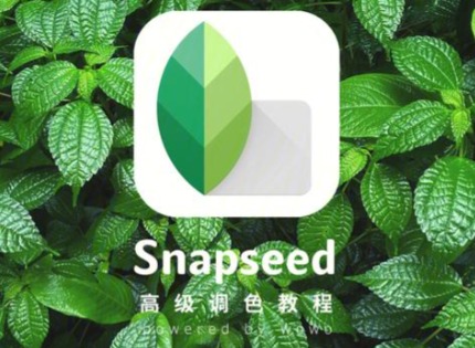 snapseed最新版本是多少