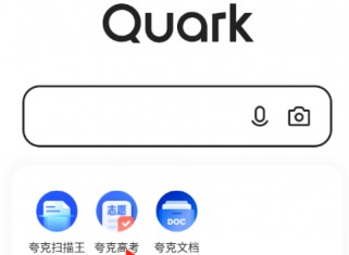夸克浏览器海外版免费观看电影