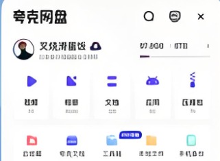 夸克浏览器可以看vip视频吗