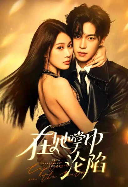 红果短剧有tv版吗