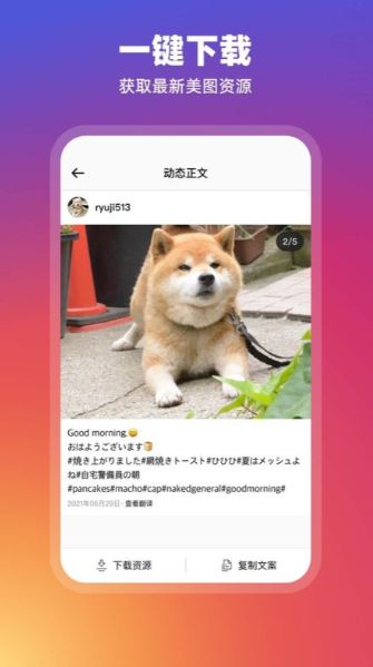日本instagram官网入口