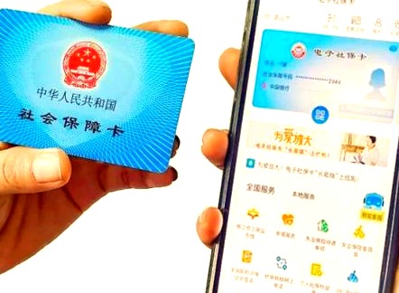 社保金融账户激活及查询完整指南