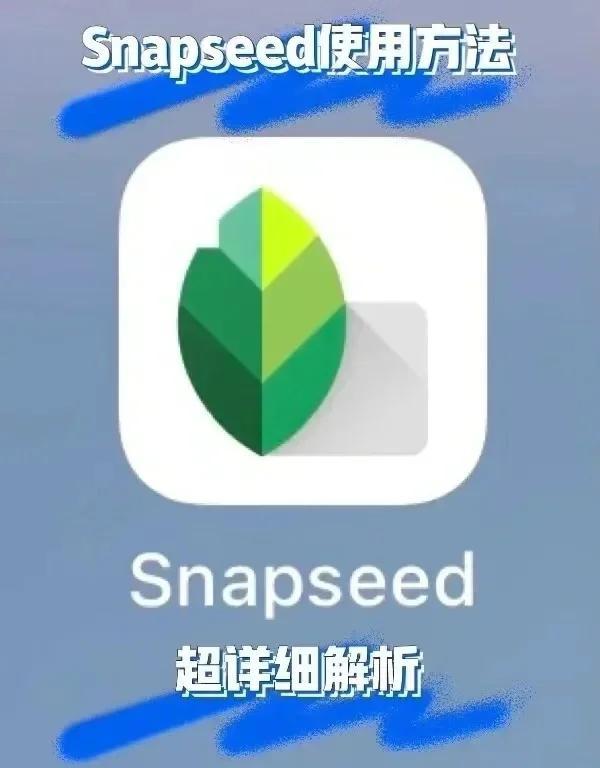 Snapseed手机修图软件免费版怎么修图？手把手教你从入门到出片