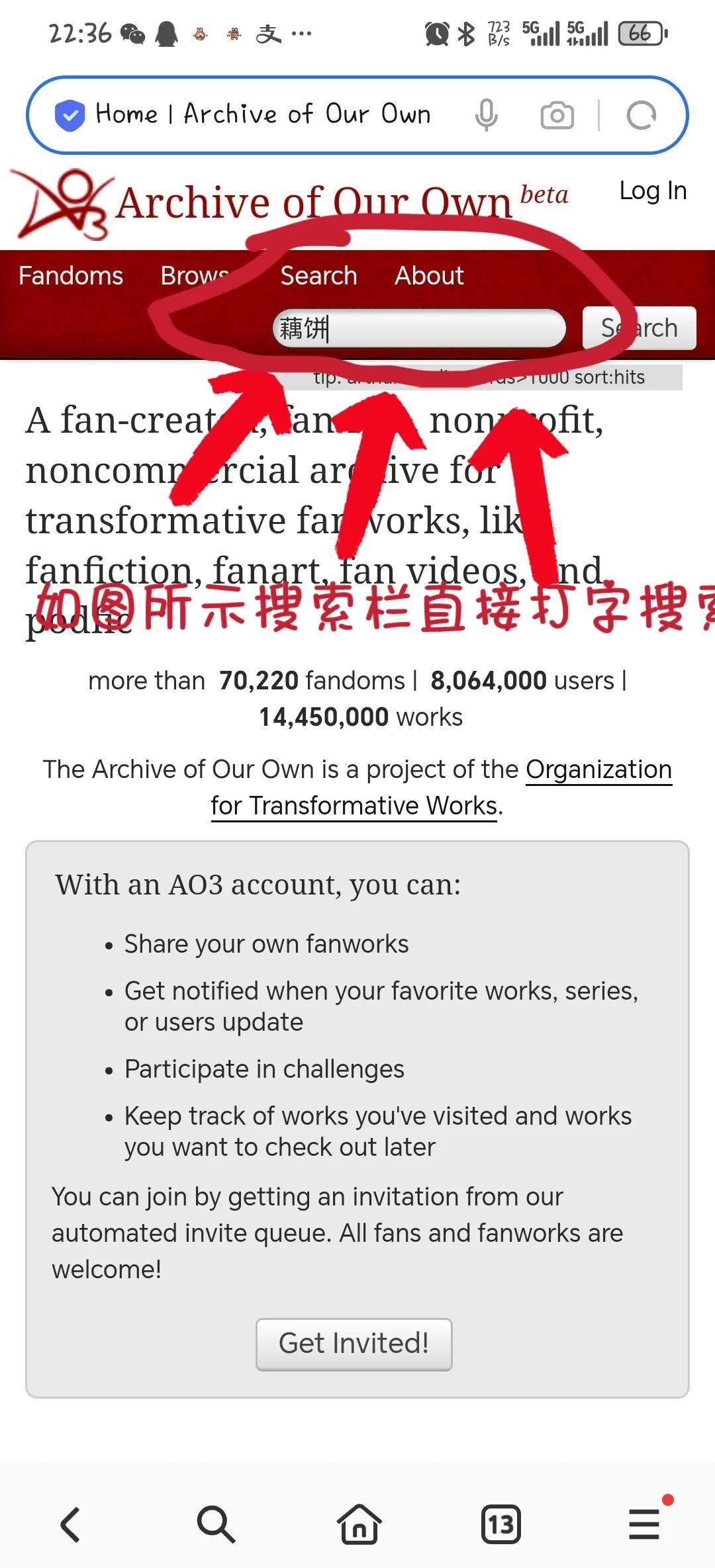 为什么AO3用流量也打不开：排查与理解指南