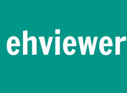 EHViewer网络错误解决办法：分层排查指南