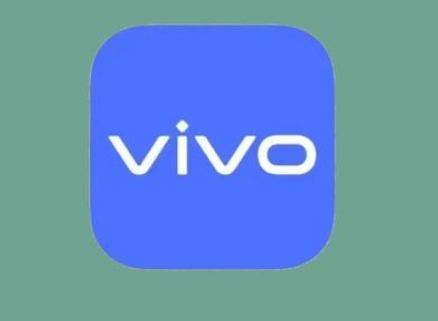 vivo手机开发者模式开启指南：步骤详解与注意事项