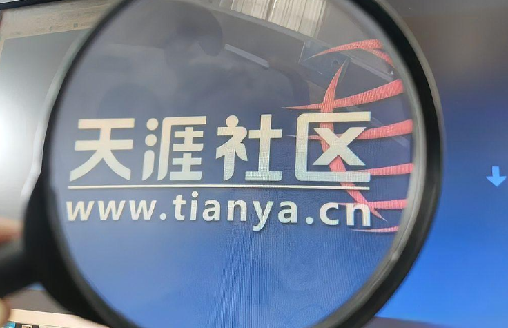 天涯社区官网无法访问？最全排查与解决指南