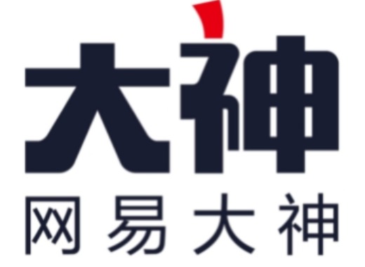 网易大神网页版怎么登陆不了？完整排查解决办法
