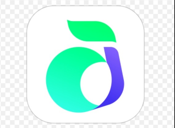 回森如何添加好友？新手常见问题一并说明