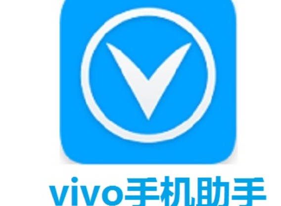 忘记vivo密码怎么办？一份全场景处理手册