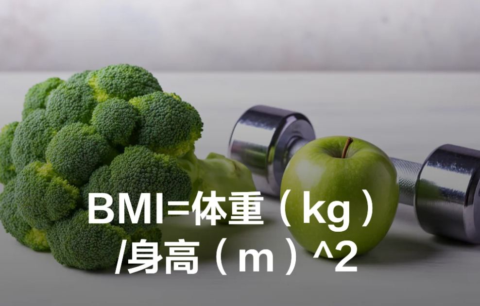 官方标准BMI体重计算器怎么找？入口+用法