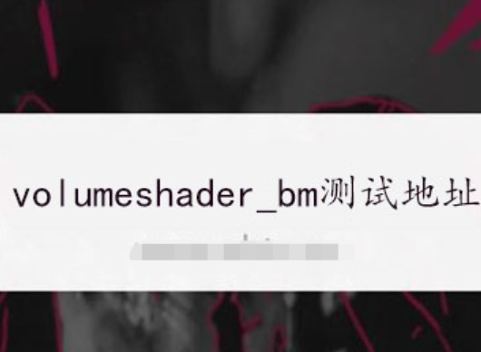 volumeshaderbm测试入口怎么打开？毒蘑菇网页版一键启动教程